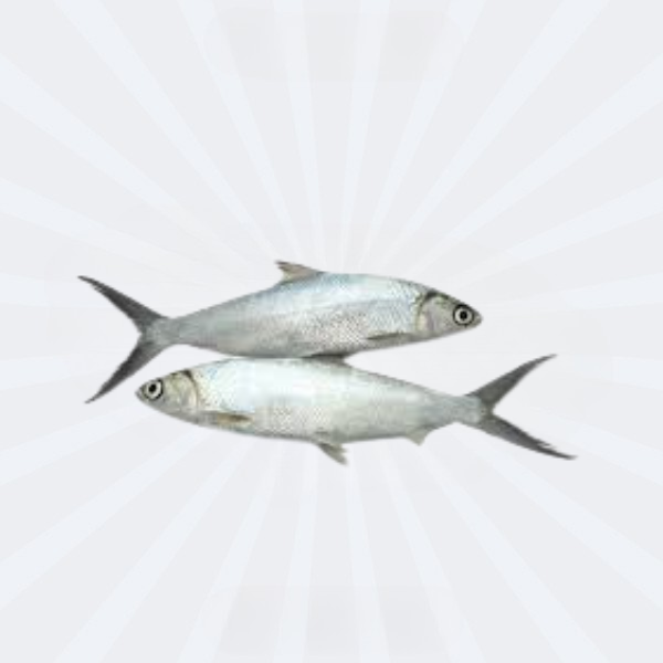 Bangus Whole (L)