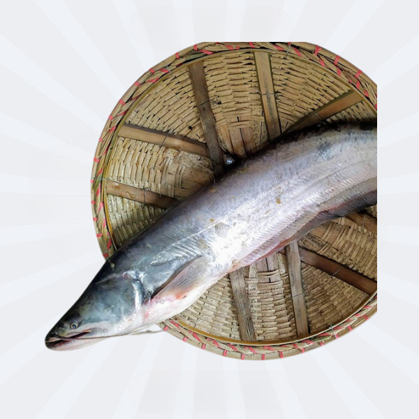 Boal Whole [Price Variable, depends on weight@ 1450/kg]