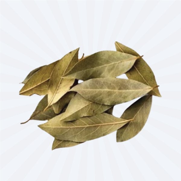 Daun Salam (Dried) - 10gm