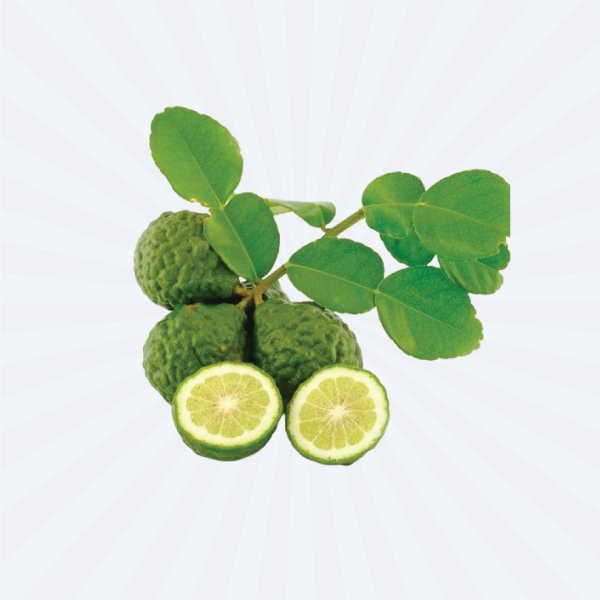 Kaffir Lime Leaf  20gm