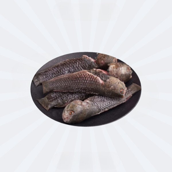 Koi Fish (6-8)Pcs BIG