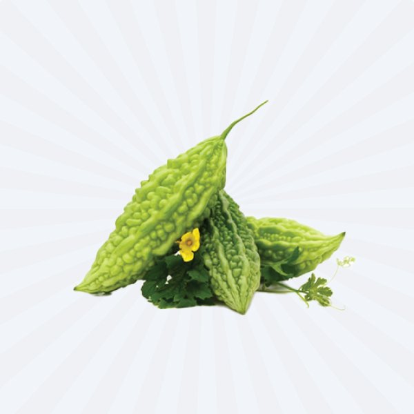 Korola / Bitter Gourd / Karela / Goya FRESH