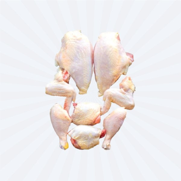 Layer Chicken / Hard Chicken (Japan) :: FRESH SLAUGHTER