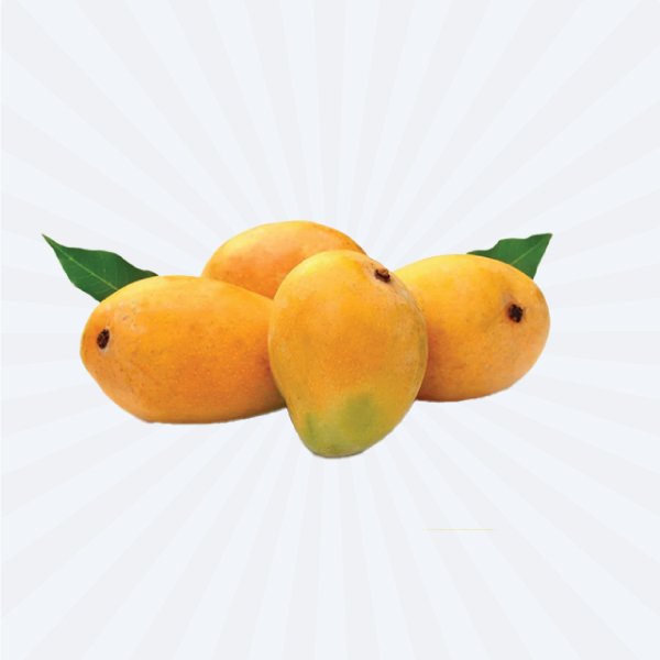 Mango Ripened / Mango Yellow KESAR / Langra (FRESH)