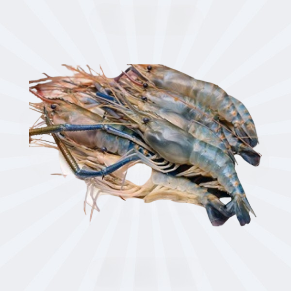 Shrimp U16-20 / Golda Chingri 400gm